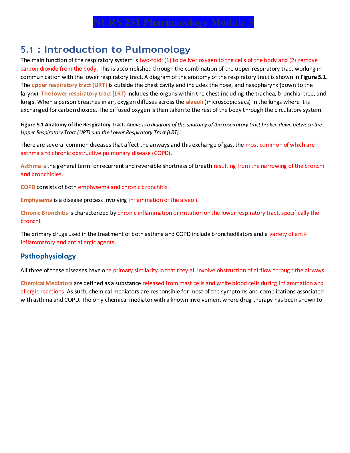 Preview of NURS 251 Pharmacology Module 5- Portage Learning
